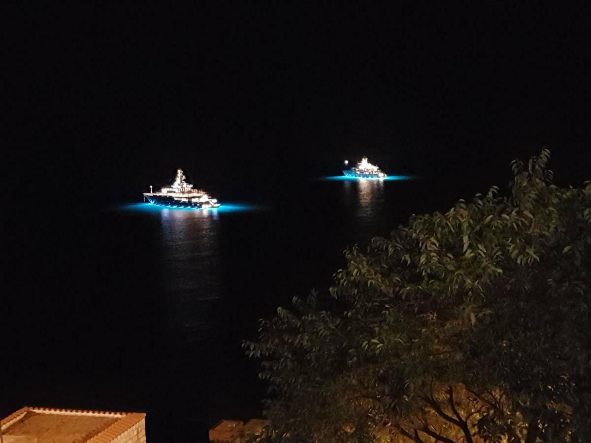 Villa Palmera Dubrovnik Dış mekan fotoğraf