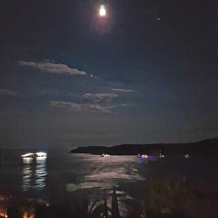 Villa Palmera Dubrovnik Dış mekan fotoğraf