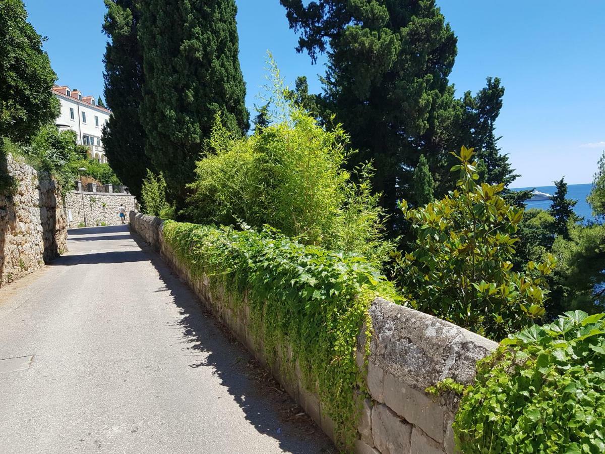 Villa Palmera Dubrovnik Dış mekan fotoğraf