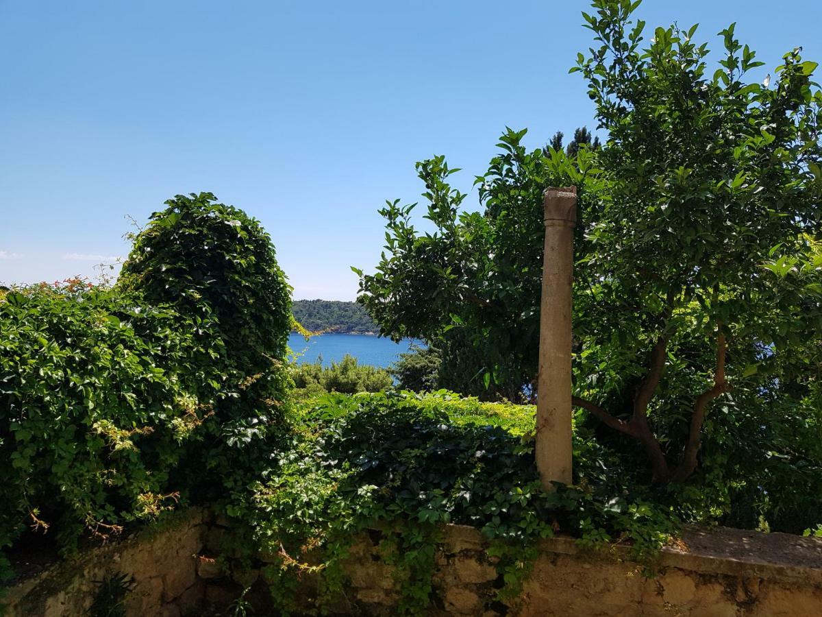 Villa Palmera Dubrovnik Dış mekan fotoğraf